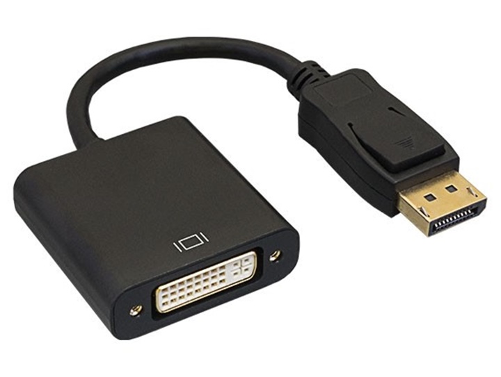 Display Port to DVI (Male to Female) (CB-DP-DVI)